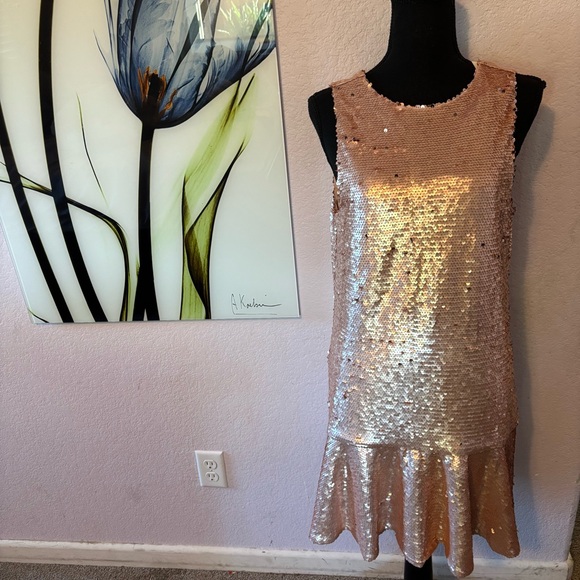 New pink sequin dress size small - Picture 1 of 6